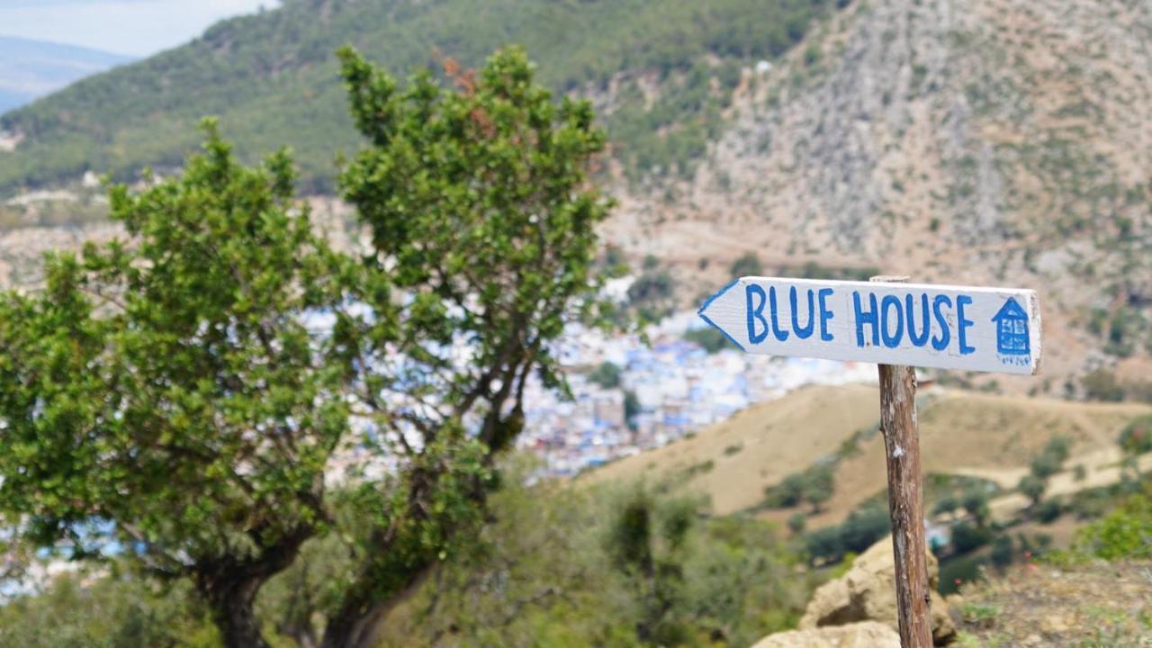 셰프샤우엔 Blue House Town 빌라 외부 사진